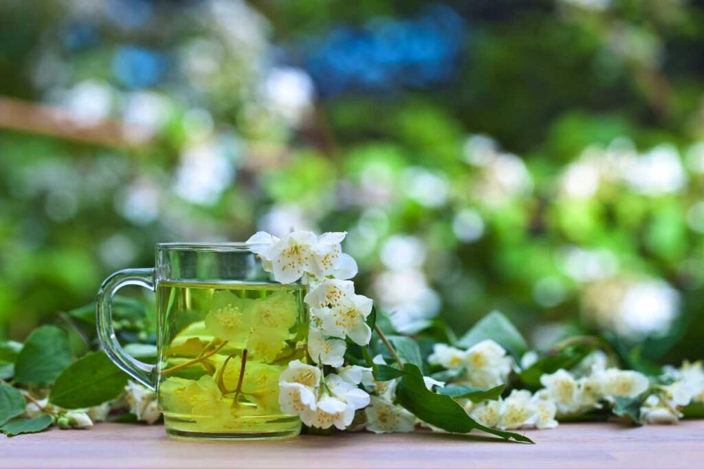 Sunflower Jasmine Tea