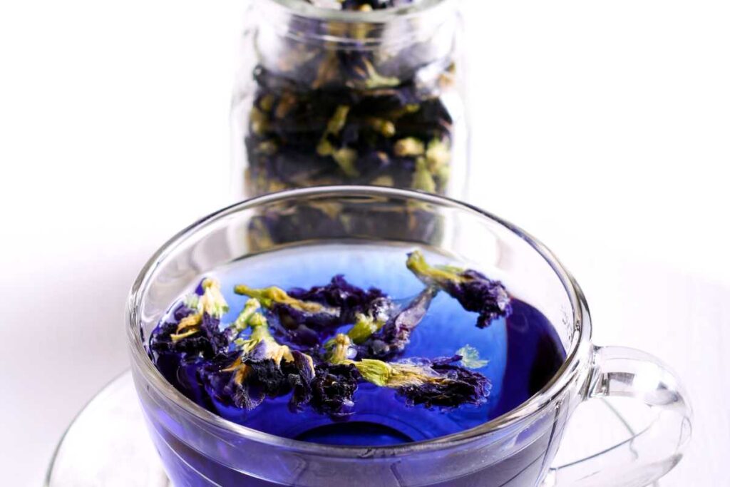 where can i buy blue tea