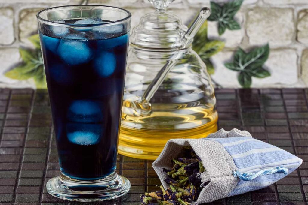 where to buy blue ternate tea