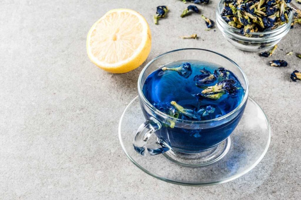 Best Butterfly Pea Flower Tea